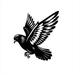 Obraz premium A black bird flying with wings spread