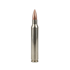 High quality image of a single nickel plated bullet showcasing its sleek design and intricate details on a clean white background