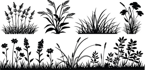 Vector Grass and Wild Plant Silhouettes Collection, Bushes and Shrubs in Black Outline