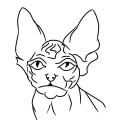 Elegant Hand-Drawn Cat Outline in Black