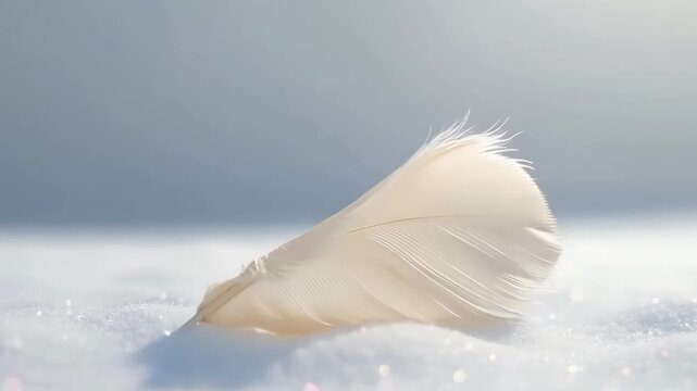 The gentle and tender atmosphere of pure feathers