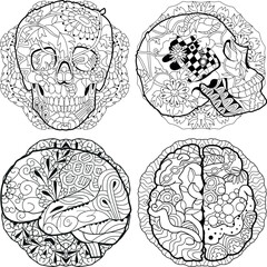 Zentangle stylized brain and skulls. Hand drawn decorative vector illustration for coloring