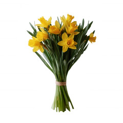 A vibrant bouquet of daffodils featuring bright yellow flowers and lush green foliage, elegantly arranged with a natural twine wrap, perfect for springtime celebrations.