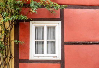 Window in an old half timbered house with creeper