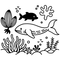 
Different types of sea animals