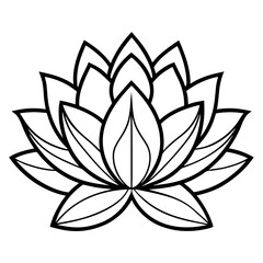 lotus flower vector