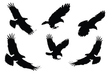 Obraz premium Silhouette of Cranes in Flight, Showing a Powerful Migration