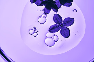 A drop of serum with bubbles and a lilac flower in close-up.