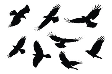 Fototapeta premium Silhouette of Cranes in Flight, Showing a Powerful Migration