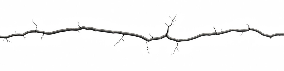 Obraz premium Detailed, textured branch with intricate twigs and transparency background, showcasing natural elements and organic shapes