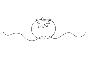 Tomato one line drawing in minimalist outline style isolated on white background