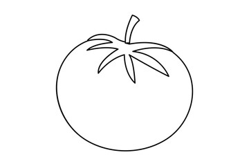 Tomato one line drawing in minimalist outline style isolated on white background