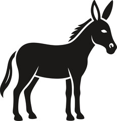 donkey isolated on white background