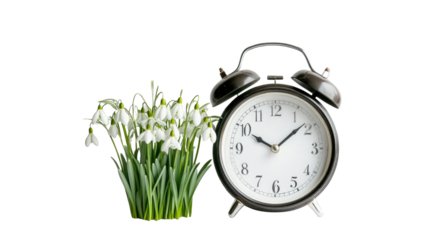 Alarm clock with snowdrop flowers switch to daylight on white background
