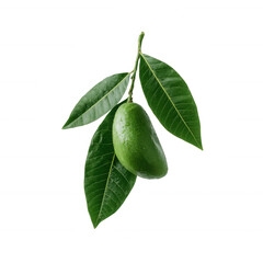 Fresh green avocado with vibrant leaves isolated on a white background, showcasing its healthy and organic appearance, perfect for culinary and nutrition themes.