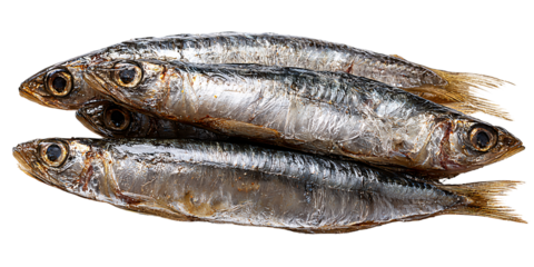 Freshly caught shiny sardines, a healthy source of omega3 fatty acids, stacked on a black background Concept of seafood, nutrition, and Mediterranean diet
