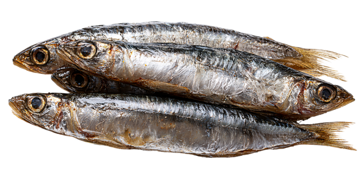 Freshly caught shiny sardines, a healthy source of omega3 fatty acids, stacked on a black background Concept of seafood, nutrition, and Mediterranean diet