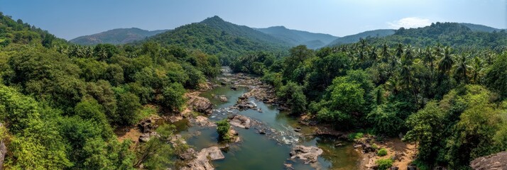 Obraz premium Lush Green Panorama of a Serene River Flowing Through the Jungle Landscape in Goa, India