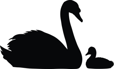 Bird silhouettes of swan and duckling in contrast, flat vector drawing, cad illustration for nature, wildlife and parenting concepts