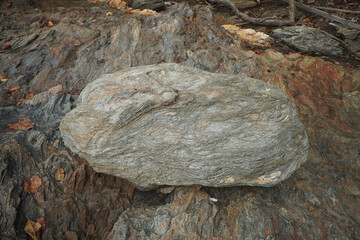 A rough gneiss stone on natural background. a high-grade metamorphic rock.   