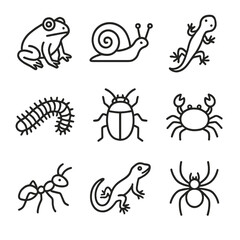 Crab millipede icons terrarium ant animal icon tiny vector spider beetle snail