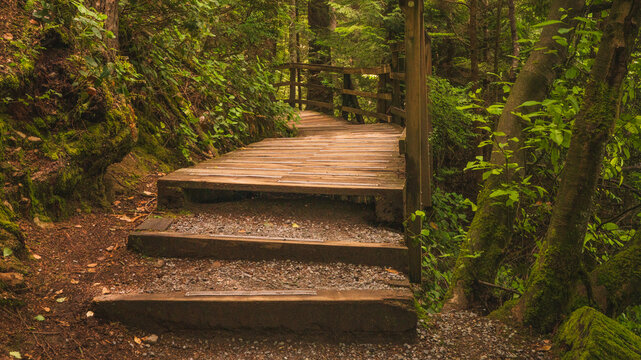 Raised wooden boardwalk on a BC urban forest trail.