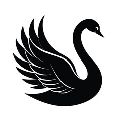 Fototapeta premium Elegant black swan silhouette with flowing feathers