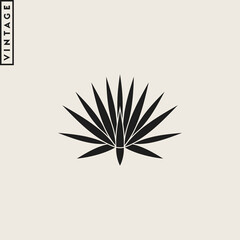 Agave. Vintage style succulent plant 