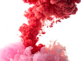 A vibrant display of red and pink ink swirling in water against a contrasting black background