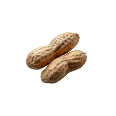 Two raw peanuts in their shells, showcasing a natural earthy texture and color, perfect for illustrating healthy snacks or dietary choices.