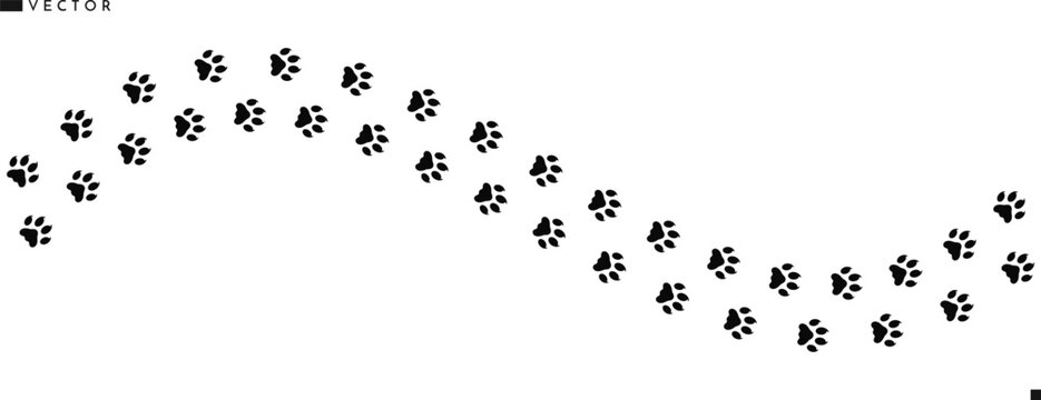 Leopard paw prints silhouette. Panther paw prints vector 