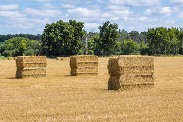 Straw bales stacked two high in a field of wheat stubble. 