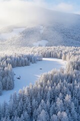Snow-Covered Winter Forest Landscape