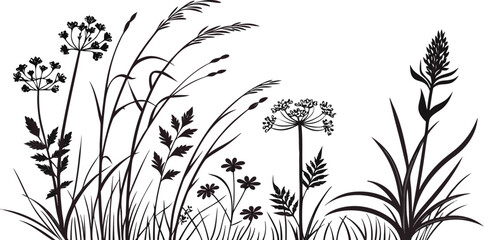 Highly Detailed Vector Silhouettes of Botanical Elements – Grass, Herbs, Flowers & Foliage