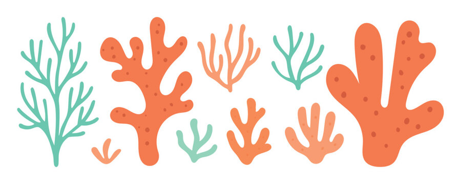 Colorful coral reef branches in orange and teal form a flat ocean plant set, ideal for sea life infographics, backgrounds, or children’s books.