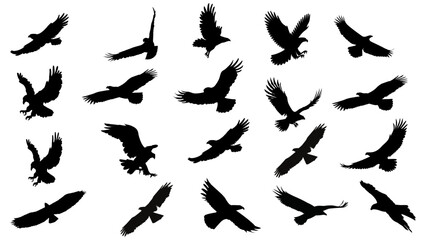 Eagle Vector Illustration Set, Black and White Silhouettes
