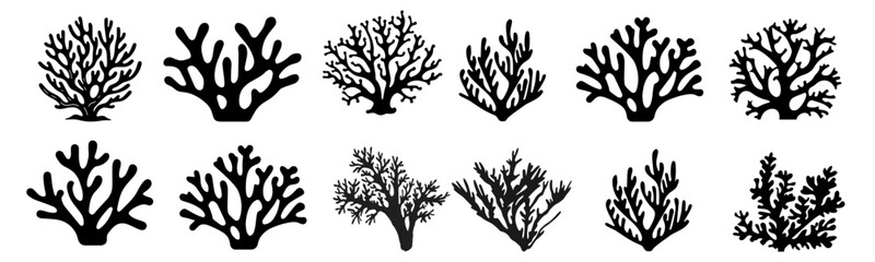 Obraz premium Black coral silhouette. diverse coral species vector illustration, detailed coral in marine life illustrations isolated on white, perfect for educational content and ocean themed designs