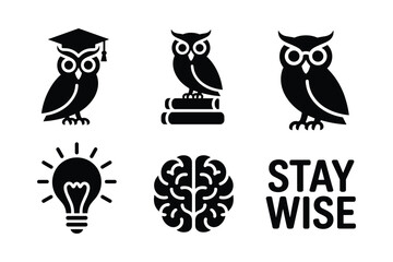 Obraz premium Owl graduation cap books lightbulb brain stay wise vector