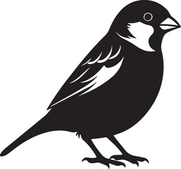 house sparrow silhouette, black and white silhouette, vector and illustration