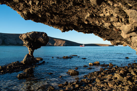 el hongo de balandra