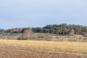 Obraz premium Heimsheim