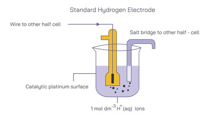 Assigned a standard electrode potential. The standard Hydrogen Electrode reference consisting of a platinum electrode in contact with 1MH plus ions and hydrogen Vector illustration.Pressure electrodes