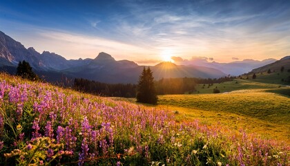 sunrise over wildflower meadow majestic mountains