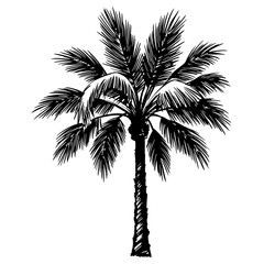 Palm Tree Silhouette: A detailed illustration of a palm tree stands tall, its fronds elegantly unfurled. Perfect for evoking tropical vibes and conveying a sense of warmth and relaxation.