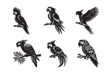 Set of Parrot silhouette vector illustration , with a clear white background