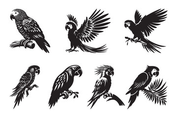 Set of Parrot silhouette vector illustration , with a clear white background