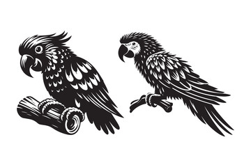 Set of Parrot silhouette vector illustration , with a clear white background