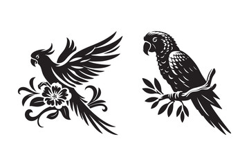 Set of Parrot silhouette vector illustration , with a clear white background