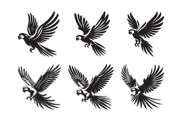 Set of Parrot silhouette vector illustration , with a clear white background