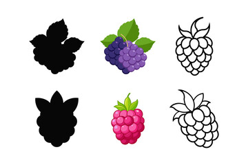 set of raspberry silhouette vector line art illustration.